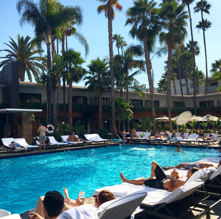 Manolos and martinis georgia burke Roosevelt.jpg